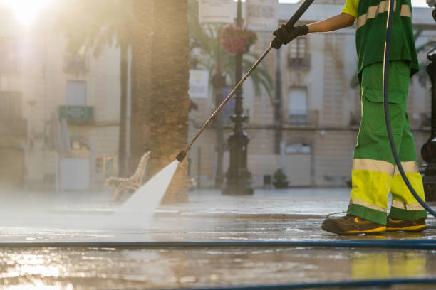 Best Driveway Pressure Washing  in St Johns, MI